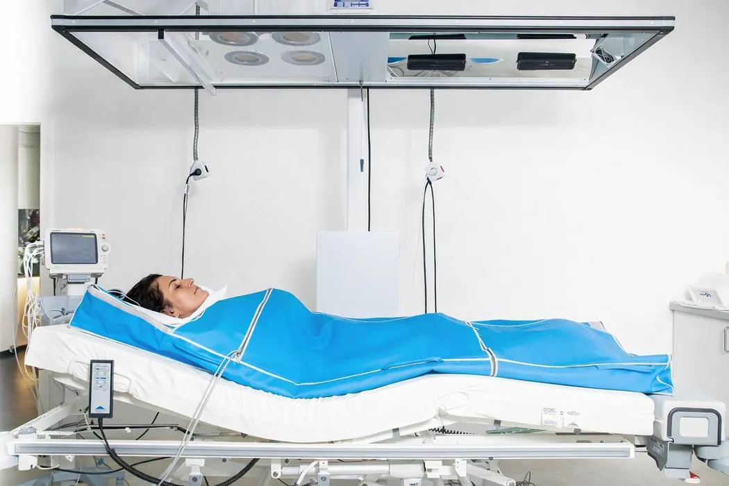 Research on hyperthermia and Borrelia burgdorferi
